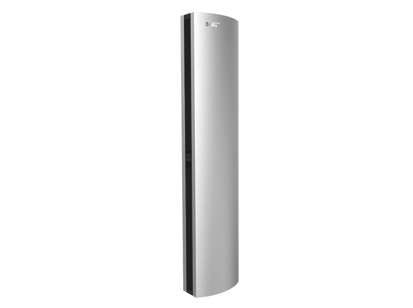 Завеса тепловая Ballu BHC-D20-T18-BS
