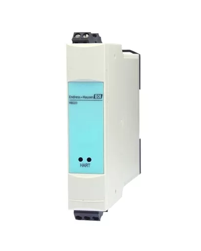 Endress Hauser RB223