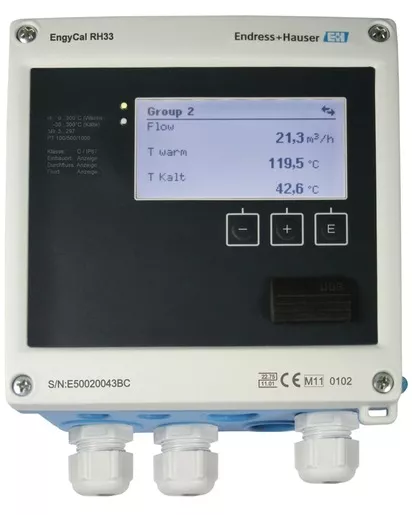 Endress Hauser RH33