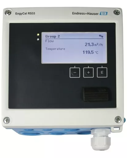 Endress Hauser RS33