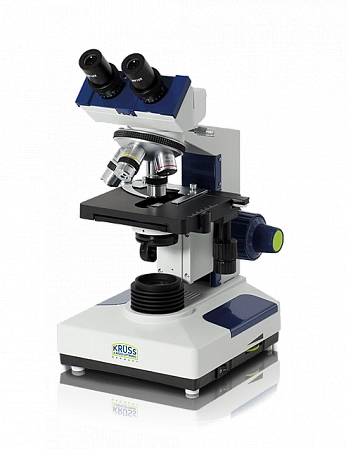 MBL 2000